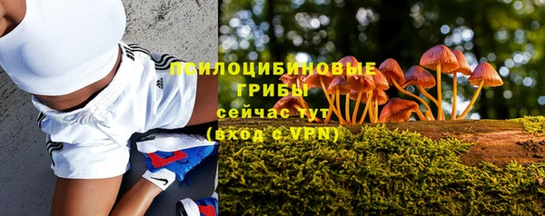 тгк Алексеевка