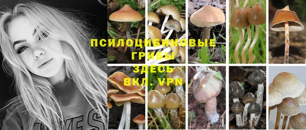 гашик Абдулино