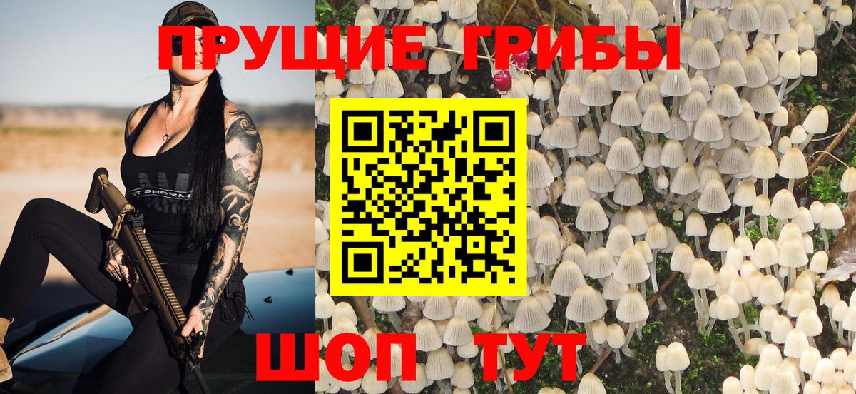 Мирный  Псилоцибиновые грибы Psilocybine cubensis  Вход с VPN 